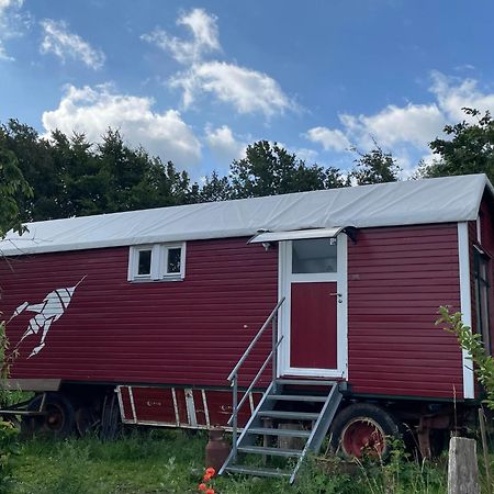 Zirkuswagen Nahe Ostsee Und Schlei Wagersrott Zewnętrze zdjęcie